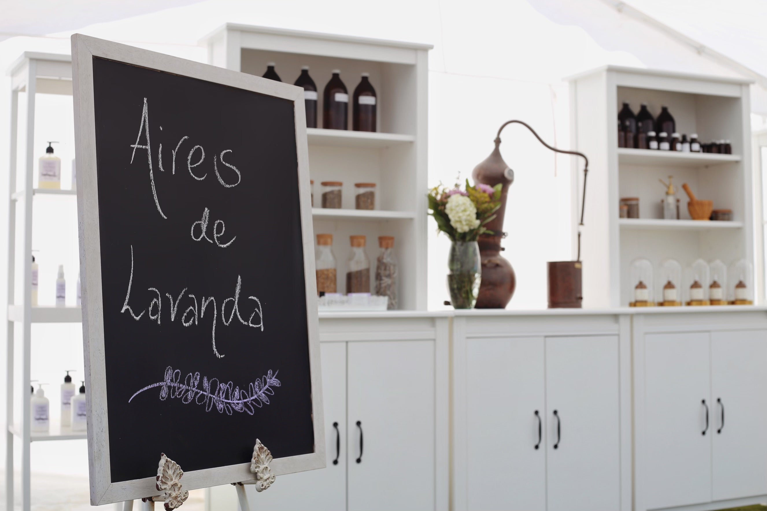 Lavender Workshop - Aires de Lavanda